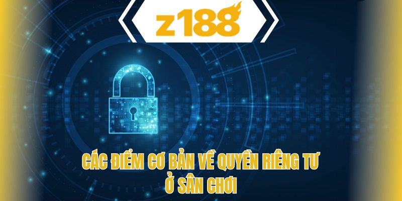 Các điểm cơ bản về quyền riêng tư ở sân chơi